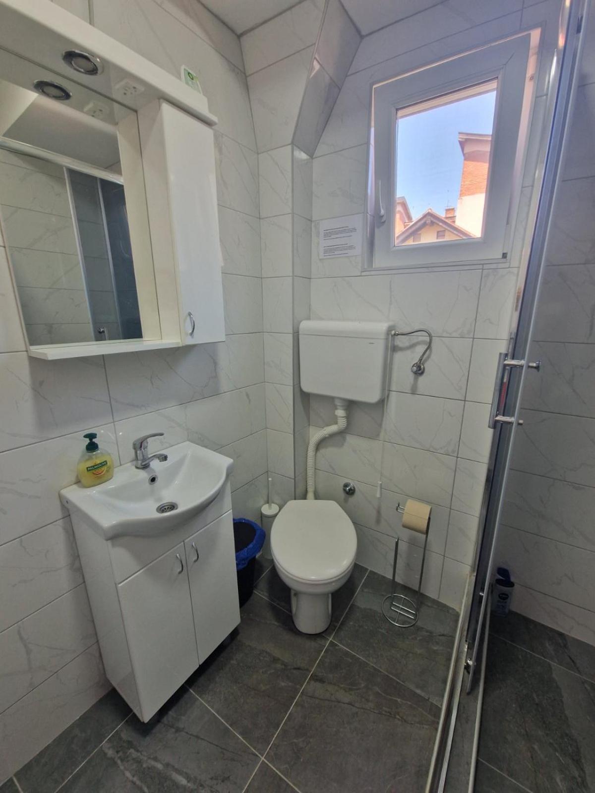 Appartement Apartman Mamut à Donji Milanovac Extérieur photo