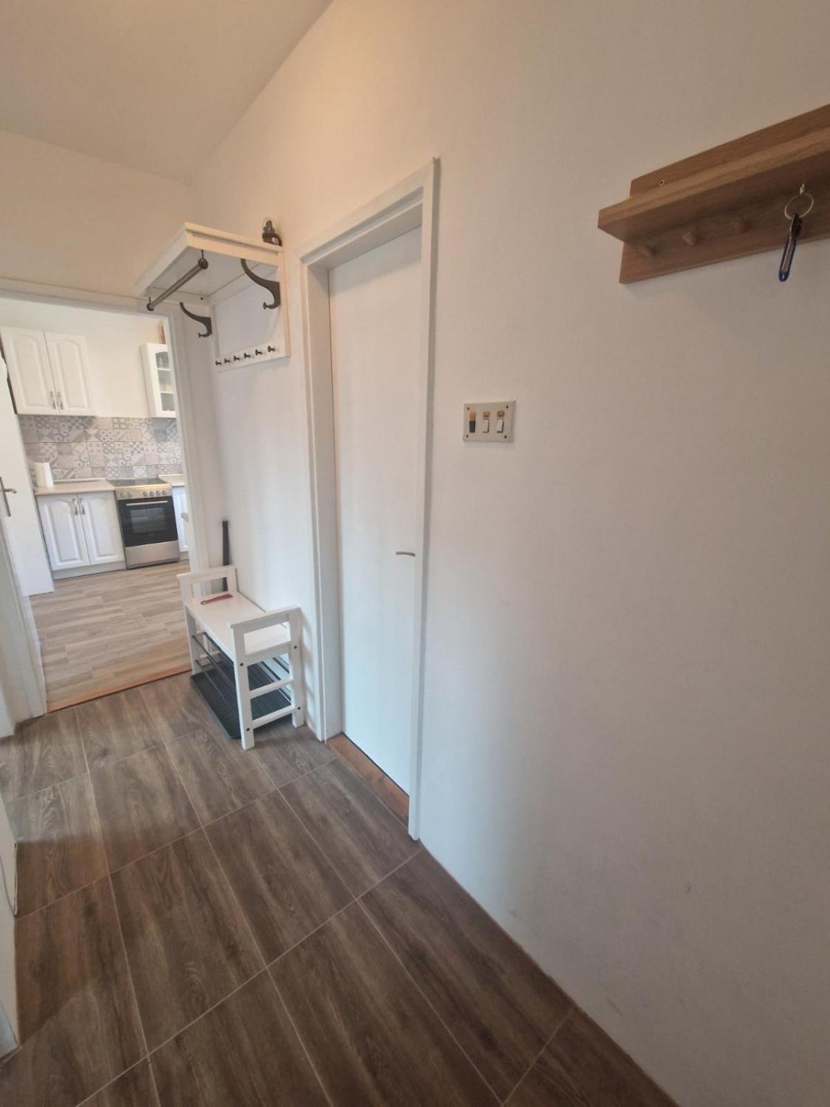 Appartement Apartman Mamut à Donji Milanovac Extérieur photo