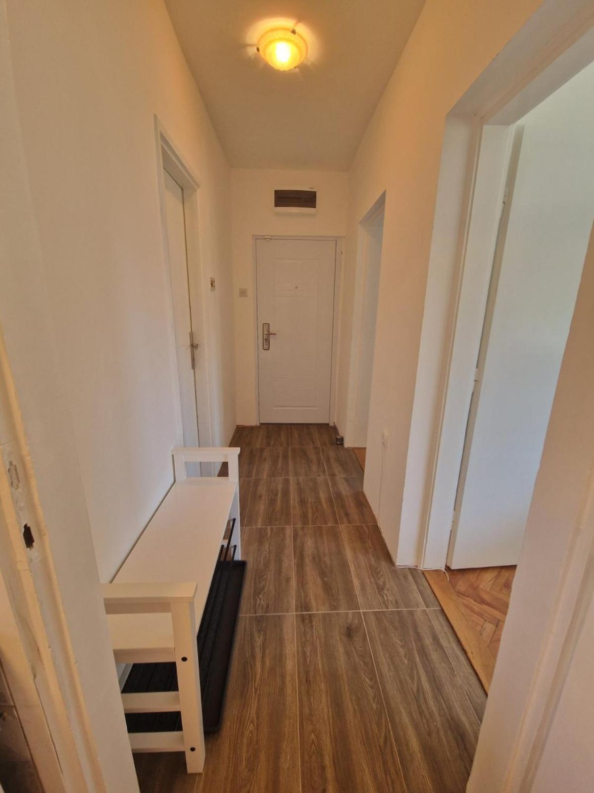 Appartement Apartman Mamut à Donji Milanovac Extérieur photo